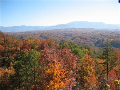 Image for All About View with ID of: 504883
