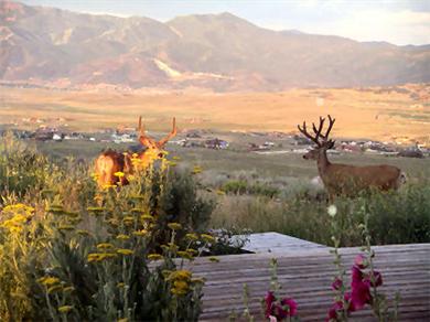 Image for Stunning panoramic view estate with ID of: 504931