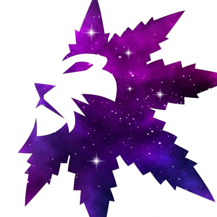 Image for Nebula Cannabis with ID of: 5050958