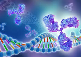 Image for Human Prothrombin Complex Market Share, Trends, Product Estimates & Strategy Framework To, 2021-2026 with ID of: 5052280