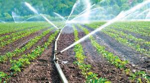 Image for Microirrigation Systems Market Share, Trends, Product Estimates & Strategy Framework To, 2021-2026 with ID of: 5058182