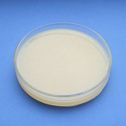Image for Anticrease Agent Market Share, Trends, Product Estimates & Strategy Framework To, 2021-2026 with ID of: 5061564