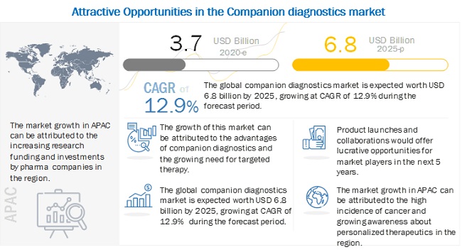 Image for Companion Diagnostics Market: Track Latest Developments and Competitive Updates with ID of: 5068265