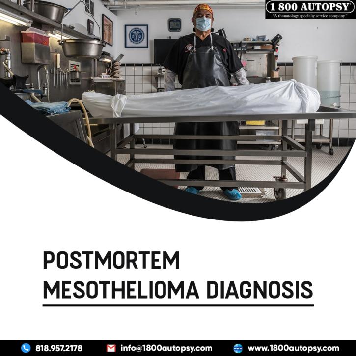 Image for Postmortem Mesothelioma Diagnosis with ID of: 5074191