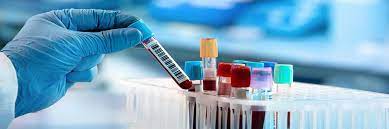 Image for Laboratory Information System Market Size & Share | Global Manufacturers Data, Growth and Developments by 2027 with ID of: 5076086