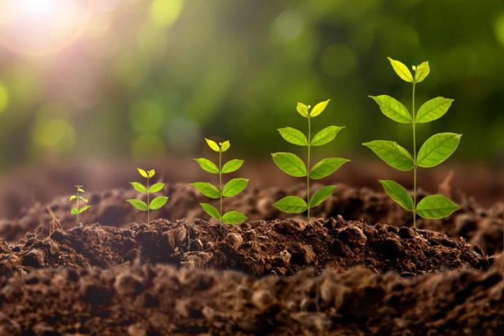 Image for Plant Growth Regulators Market 2021 Future Estimations, Drivers and Growth Opportunities Till 2026 with ID of: 5076681