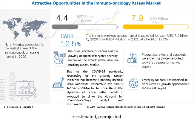 Image for Immuno Oncology Assays: Track Latest Developments and Competitive Updates with ID of: 5076741