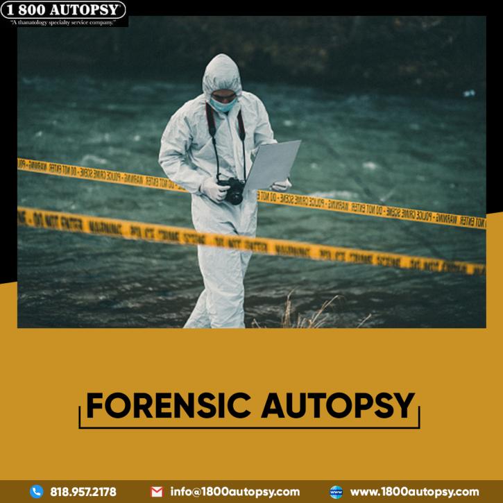 Image for Forensic Autopsy with ID of: 5080305