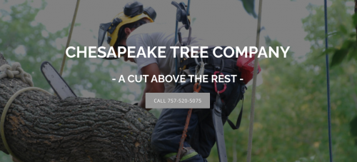 Image for Chesapeake Tree Company with ID of: 5081138
