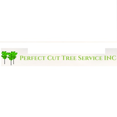 Image for Perfect Cut Tree Service Inc with ID of: 5086180