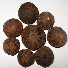 Image for Global Dried Lemon Market Share is Expected To Get Massive Growth Profits by 2026 with ID of: 5087414
