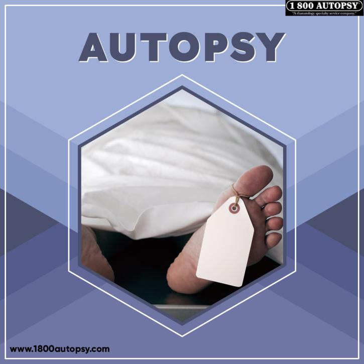 Image for Autopsy with ID of: 5088569