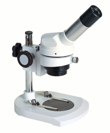 Image for Educational Microscopes Market 2021 Industry Forecast & Leading Key Players Analysis Report by 2026 with ID of: 5090387