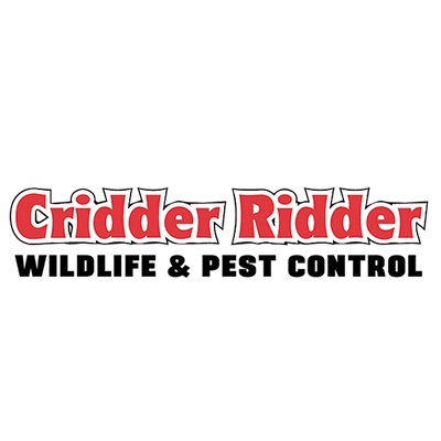 Image for Cridder Ridder with ID of: 5090924