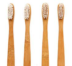 Image for Global Compostable Toothbrush Market Share is Expected To Get Massive Growth Profits by 2026 with ID of: 5091503