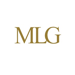 Image for MLG Business Litigation Group with ID of: 5103958