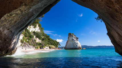 Image for Haleh Alchemy Coaching with ID of: 5109478