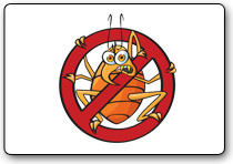 Image for Kill Bed Bugs - Your One Stop Solution to Prevent and Eliminate Bed Bug Infestations with ID of: 511393