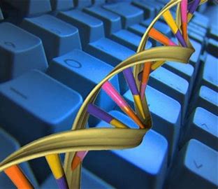 Image for Bioinformatics Market Opportunities, Historical Data, Emerging Trends & Forecast To, 2027 with ID of: 5115533