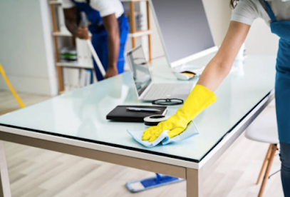 Image for Precision Cleaning & more with ID of: 5115887