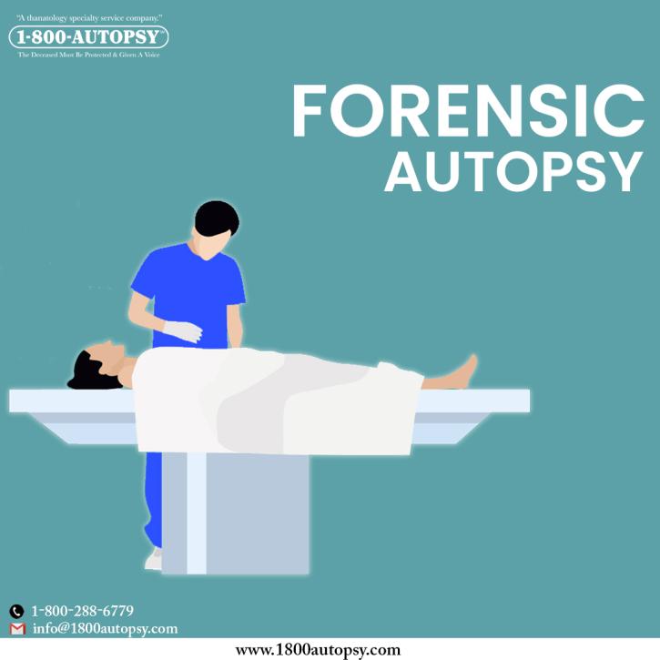 Image for Forensic Autopsy with ID of: 5116054