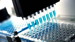 Image for High Throughput Screening Market Size, Demand, Growth And Industry Development Trends By 2022-2028 with ID of: 5119772