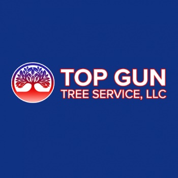 Image for Top Gun Tree Service with ID of: 5124586