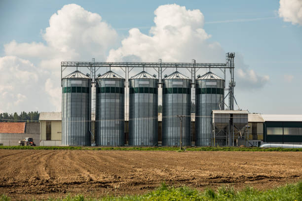 Image for Feed Mill Market Size, Demand, Growth And Industry Development Trends By 2022-2028 with ID of: 5125983