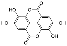 Image for Polyphenol Market Size, Growth Opportunities, Historical Data, Emerging Trends & Forecast To, 2028 with ID of: 5129012