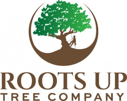 Image for Roots Up Tree Company with ID of: 5133416