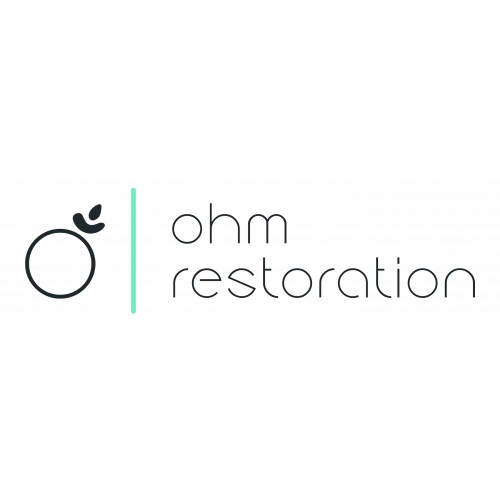 Image for Ohm Restoration with ID of: 5133455