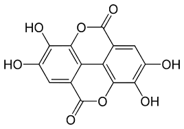 Image for Global Polyphenol Market Share is Expected To Get Massive Growth Profits by 2028 with ID of: 5138328
