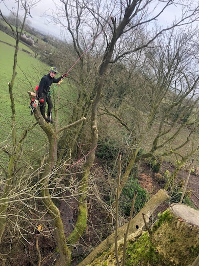 Image for JE Tree Surgeons with ID of: 5139412