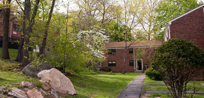 Image for Must-See 1 Bed 1 Bath in Dobbs Ferry w/ On-site Parking - NO FEE ($1300) with ID of: 514074