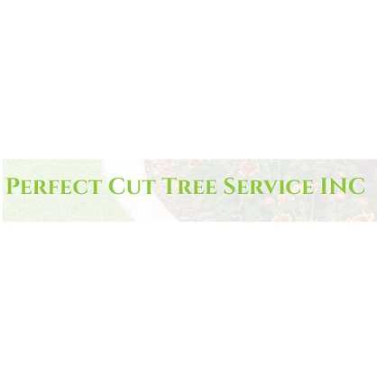 Image for Perfect Cut Tree Service Inc with ID of: 5143731