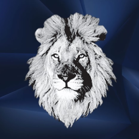 Image for White Lion Moving & Storage with ID of: 5146505