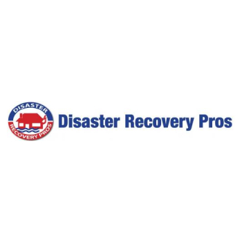 Image for Disaster Recovery Pros with ID of: 5146677
