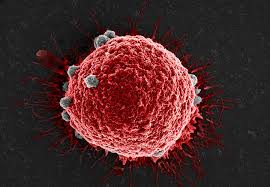 Image for Circulating Tumor Cell Detector Market Size, Demand, Growth And Industry Development Trends By 2022-2028 with ID of: 5151641