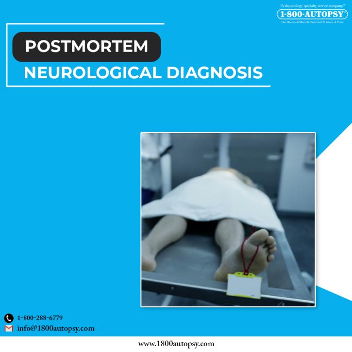 Image for Postmortem Neurological Diagnosis with ID of: 5152023
