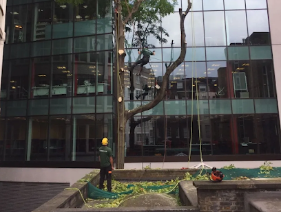 Image for Veteran Arborists with ID of: 5153037