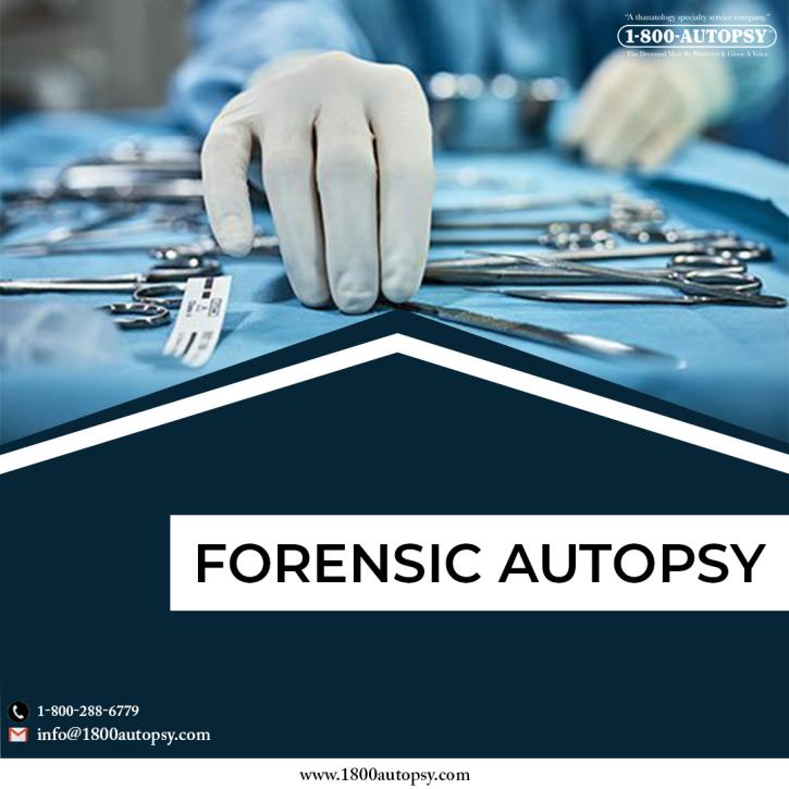 Image for Forensic Autopsy with ID of: 5158911