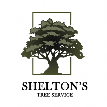 Image for Shelton's Tree Service with ID of: 5174000