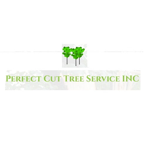Image for Perfect Cut Tree Service Inc with ID of: 5176691