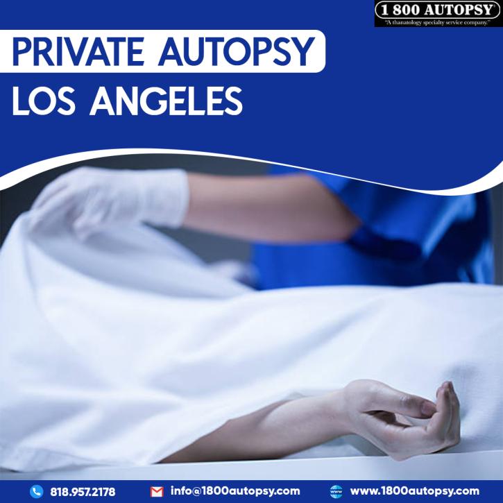 Image for Lung Only Autopsy with ID of: 5177992