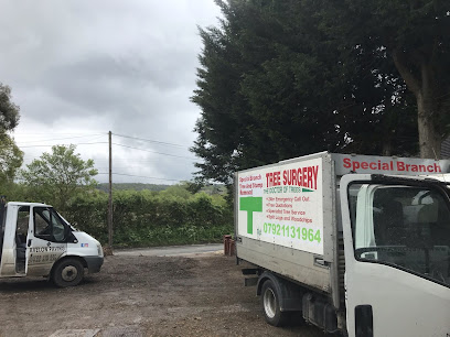 Image for Special Branch Tree & Stump Removal with ID of: 5178105