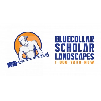 Image for Blue Collar Scholars with ID of: 5183102