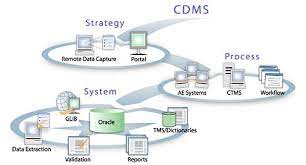Image for Clinical Data Management System Market Share, Trends, Product Estimates & Strategy Framework To, 2022-2028 with ID of: 5183115