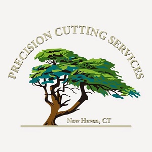 Image for Precision Cutting Services with ID of: 5195012