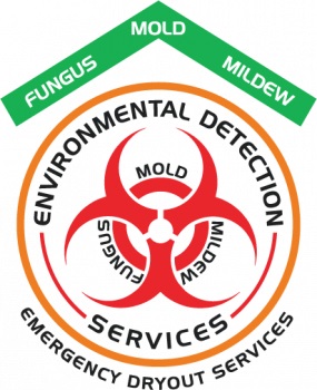 Image for Emergency Dryout Services with ID of: 5198974