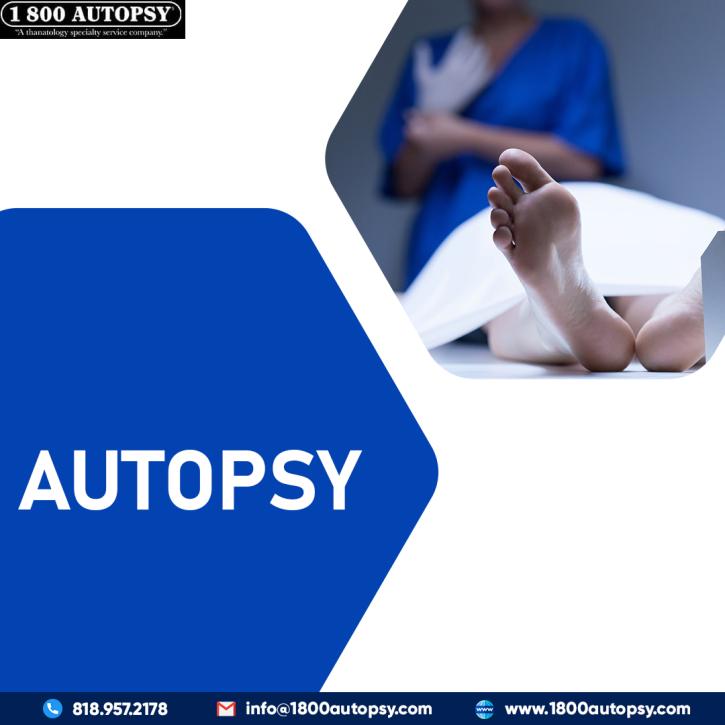 Image for Autopsy with ID of: 5203862